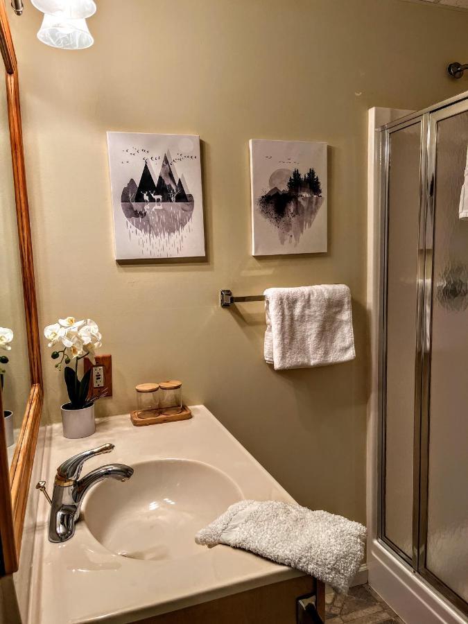 Ole Smoky Bnb - Game Room, Hot Tub, Mtn Views! بيدجن فورج المظهر الخارجي الصورة