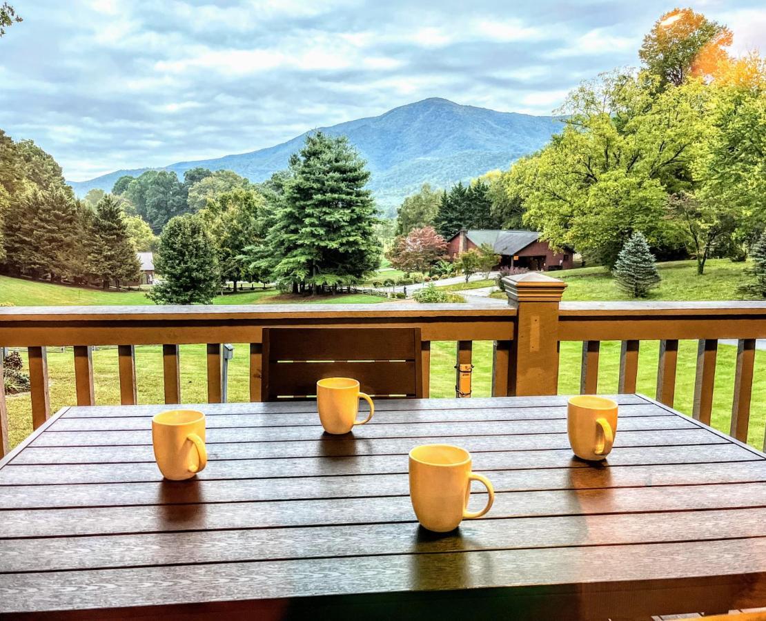 Ole Smoky Bnb - Game Room, Hot Tub, Mtn Views! بيدجن فورج المظهر الخارجي الصورة